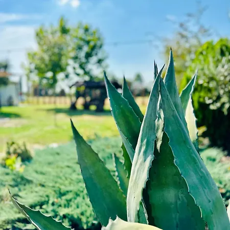 Panzió Sabidor Malalbergo