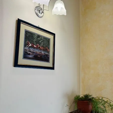 Sabidor Malalbergo