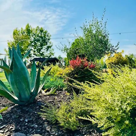 Bed & Breakfast Sabidor Malalbergo