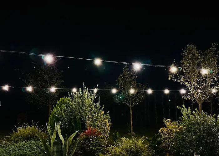 Sabidor 马拉尔贝戈