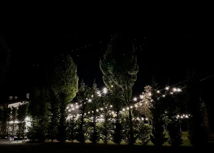 住宿加早餐酒店 Sabidor