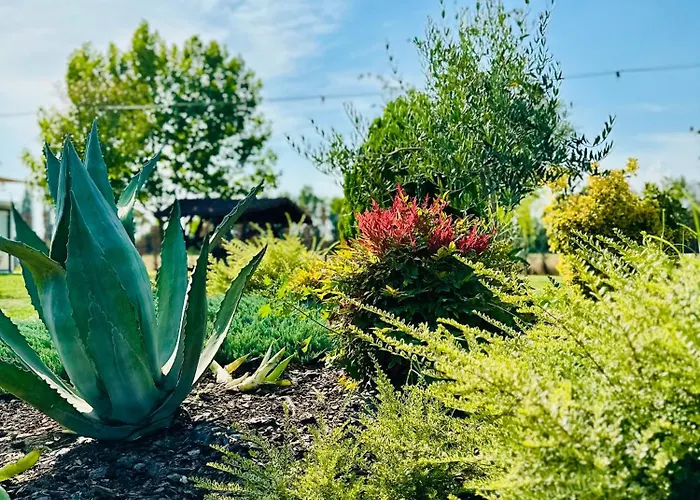 فندق مبيت وإفطار Sabidor Malalbergo